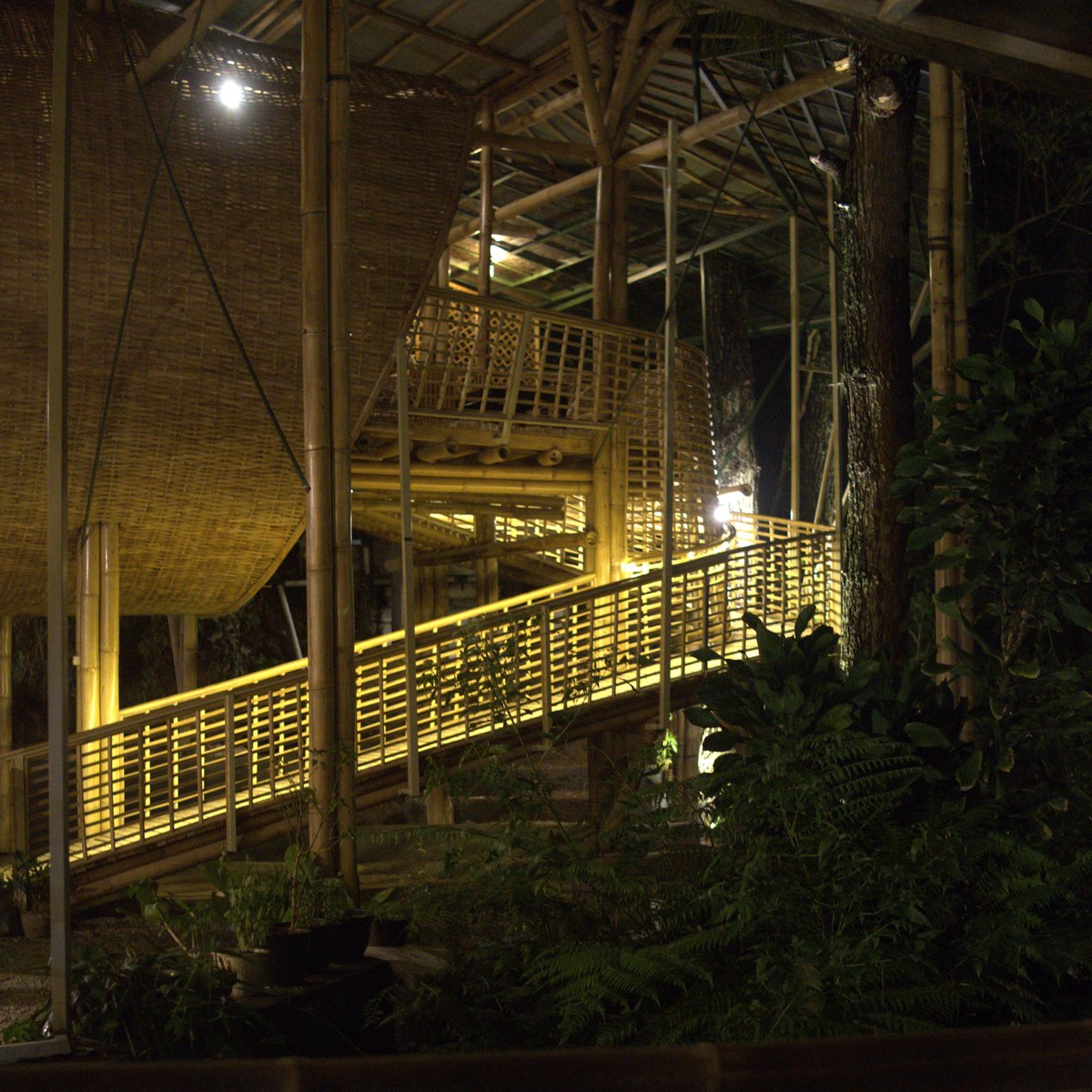 Modern bamboo design